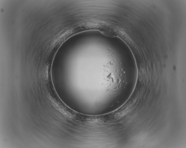 X0000067870454200604201222