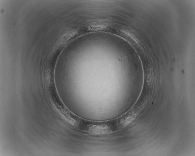 X0000067870455200604201222