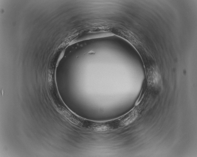 X0000067870456200604201222