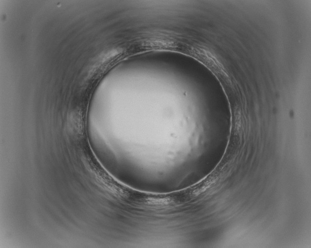 X0000067870457200604201222