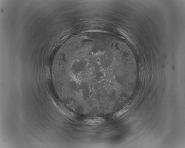 X0000067870459200604201222