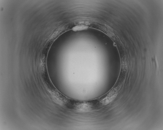 X0000067870460200604201222