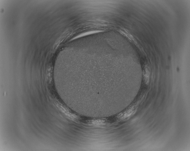 X0000067870462200604201222