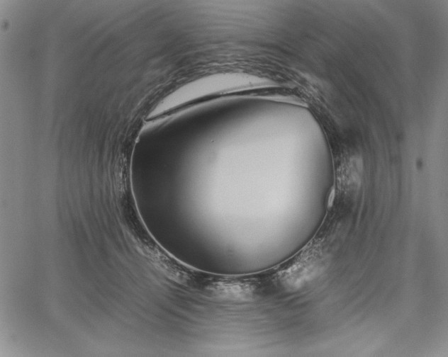 X0000067870464200604201222