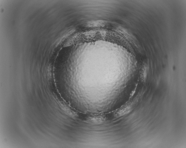 X0000067870466200604201222