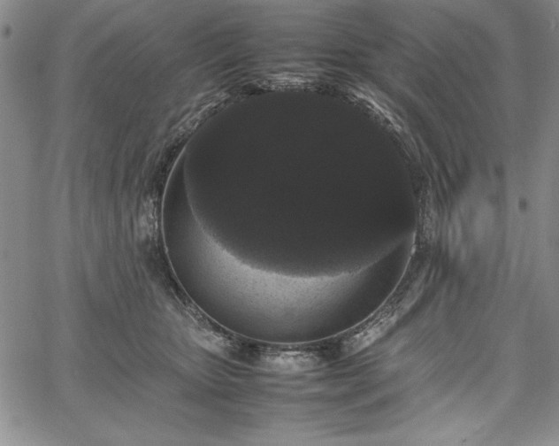 X0000067870467200604201222