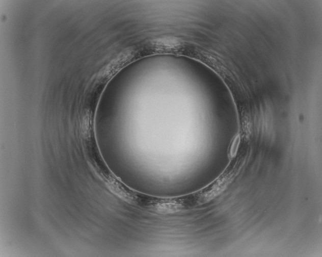 X0000067870468200604201222