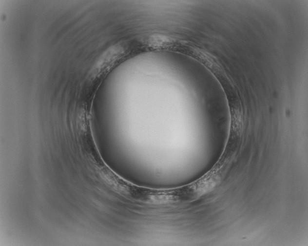 X0000067870470200604201222