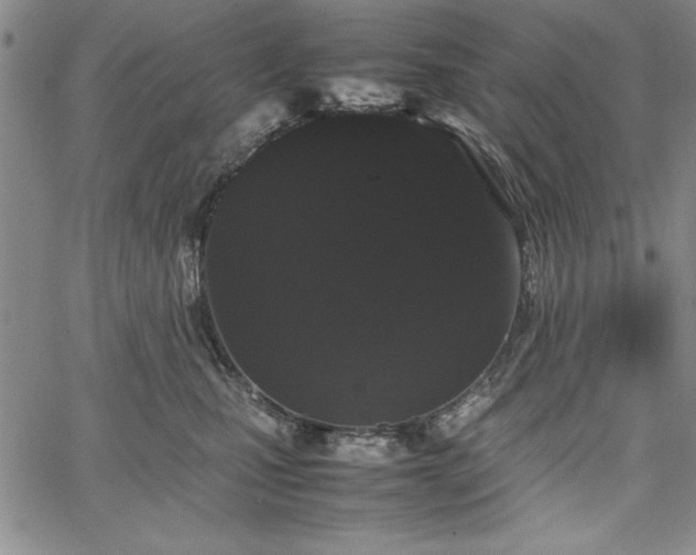 X0000067870471200604201222