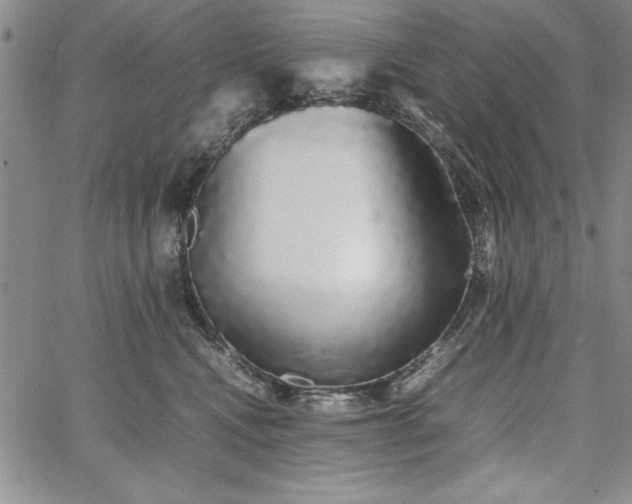 X0000067870472200604201222