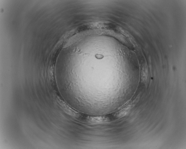 X0000067870473200604201222