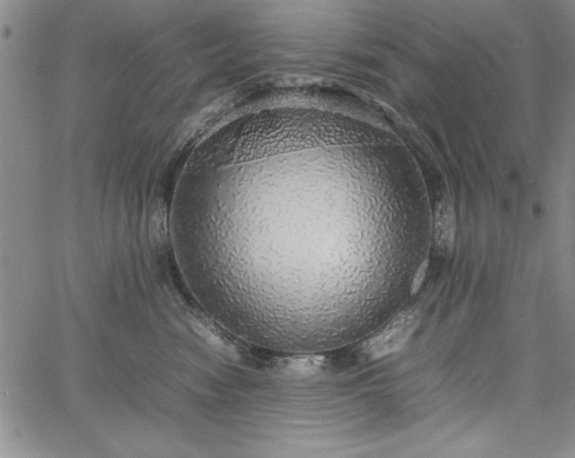 X0000067870474200604201222