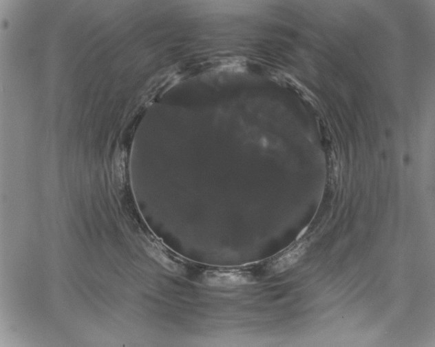 X0000067870475200604201222