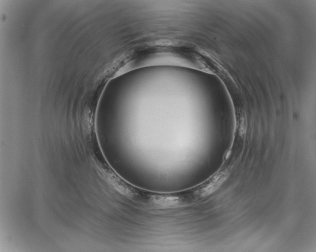 X0000067870476200604201222