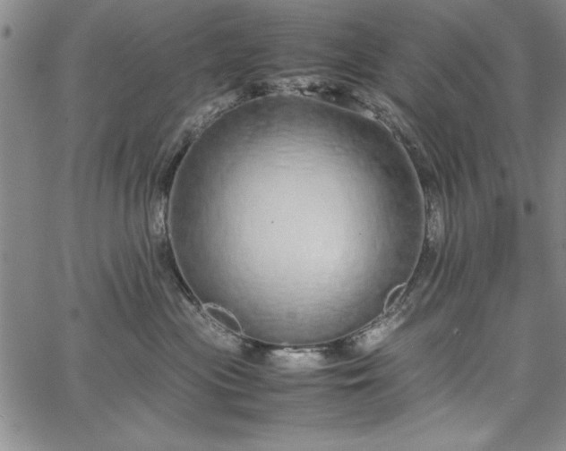 X0000067870477200604201222