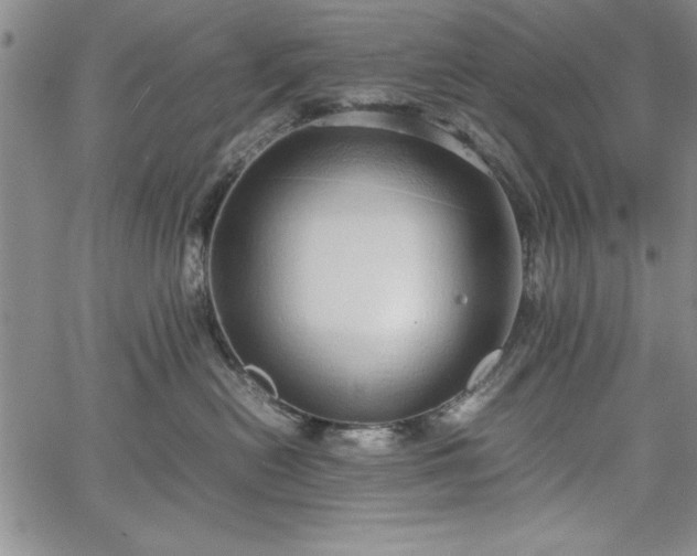 X0000067870478200604201222