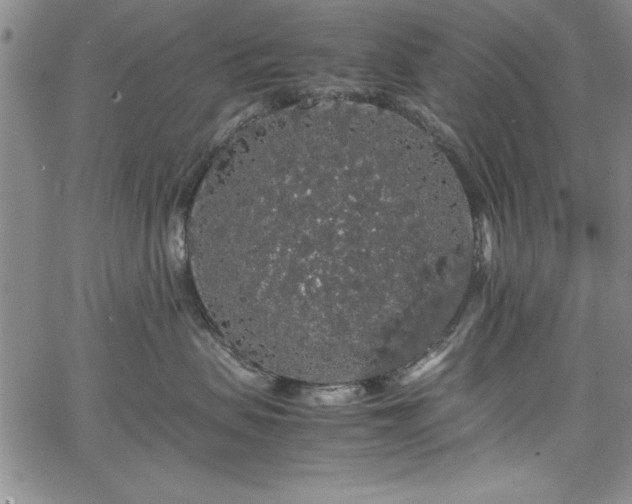 X0000067870479200604201223