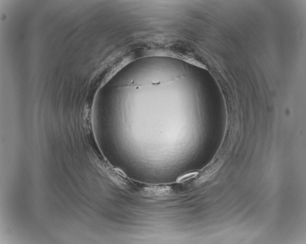 X0000067870480200604201223