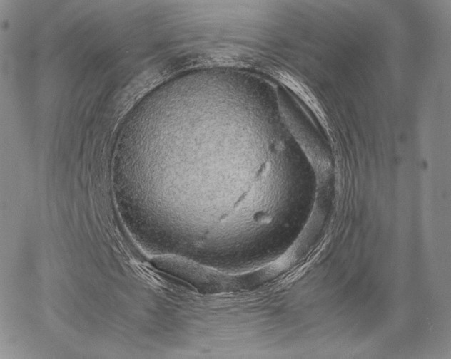 X0000067870481200604201222