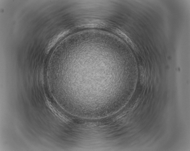 X0000067870482200604201222