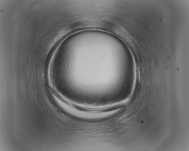 X0000067870483200604201222