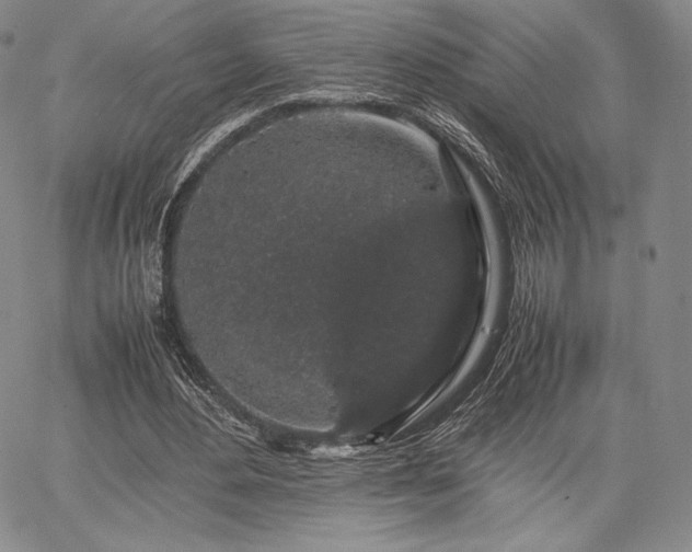 X0000067870484200604201222