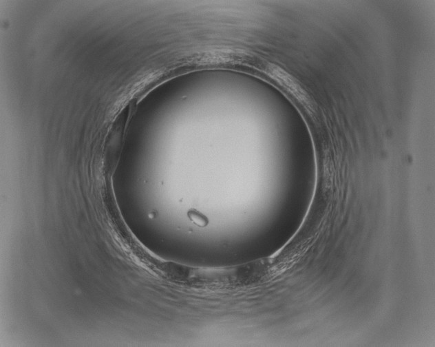 X0000067870485200604201222