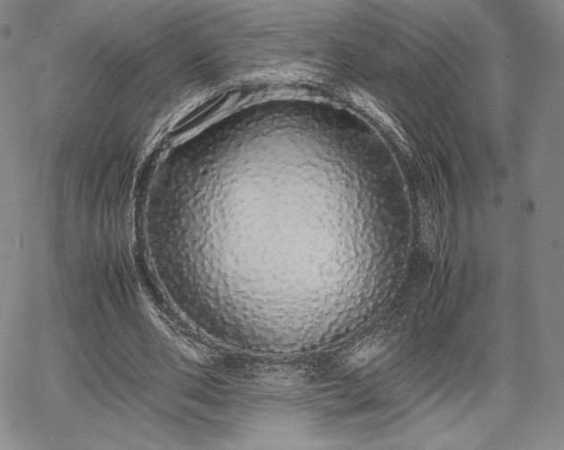 X0000067870486200604201222