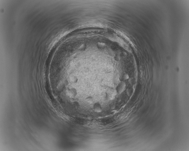 X0000067870487200604201222