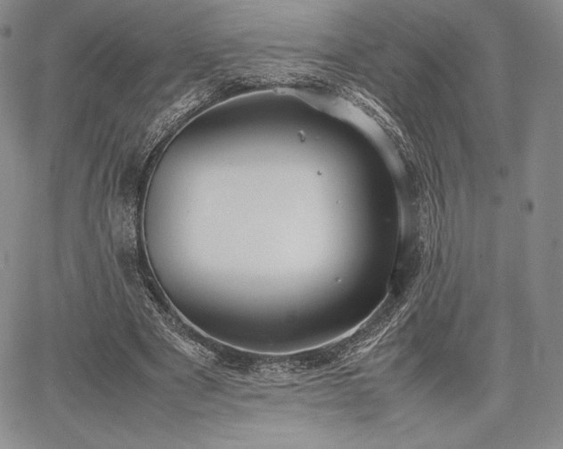 X0000067870489200604201222