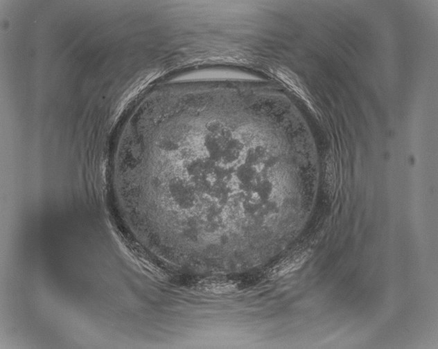 X0000067870491200604201222