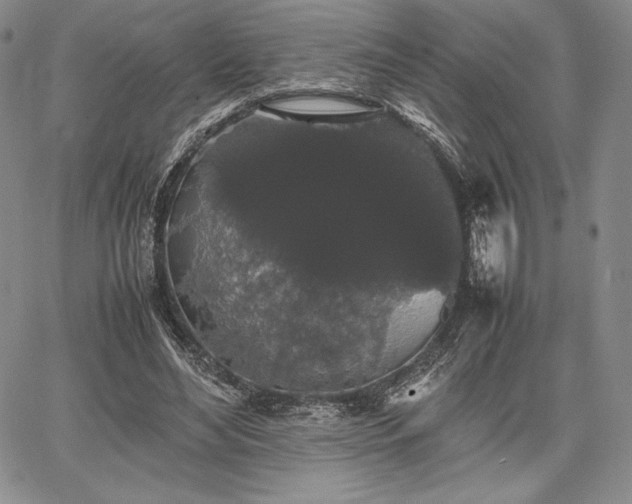 X0000067870492200604201222