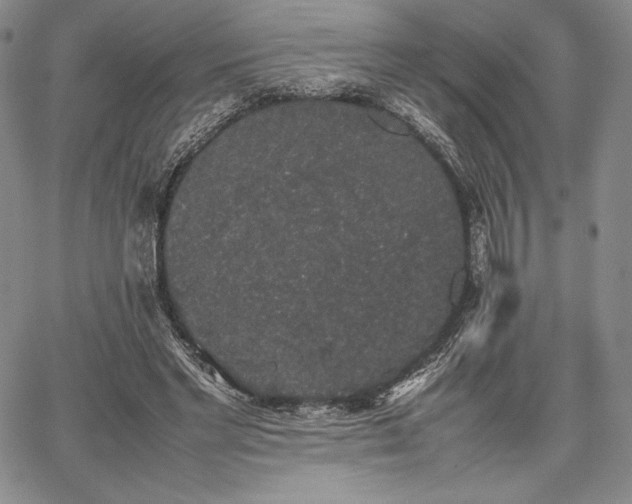 X0000067870493200604201222