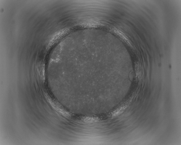 X0000067870494200604201222