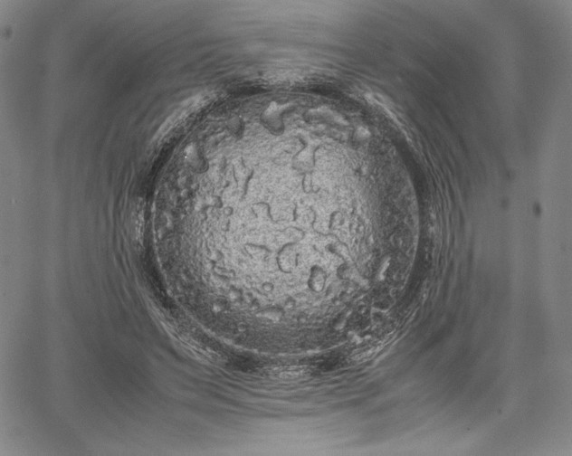 X0000067870495200604201222