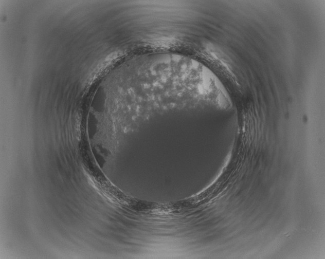 X0000067870496200604201221