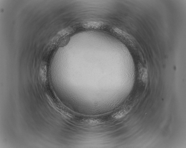 X0000067870498200604201221