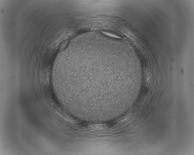 X0000067870499200604201221