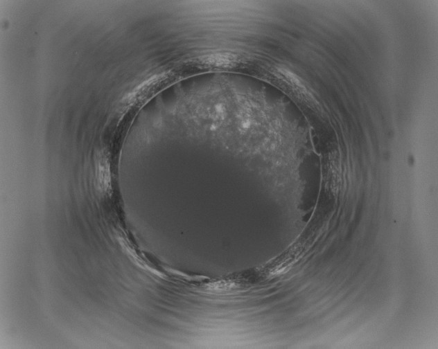 X0000067870500200604201221