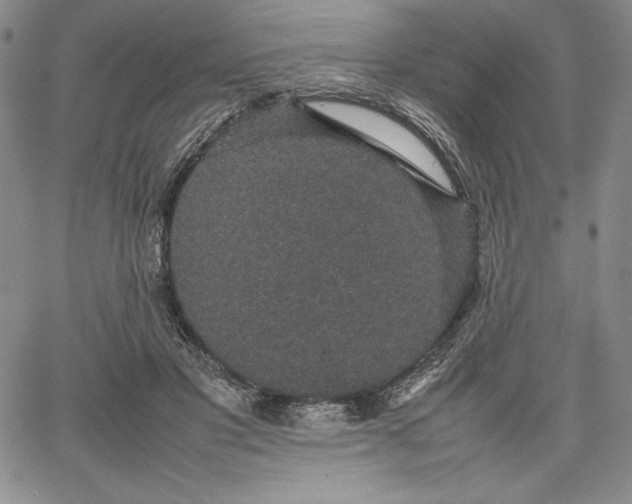 X0000067870501200604201221