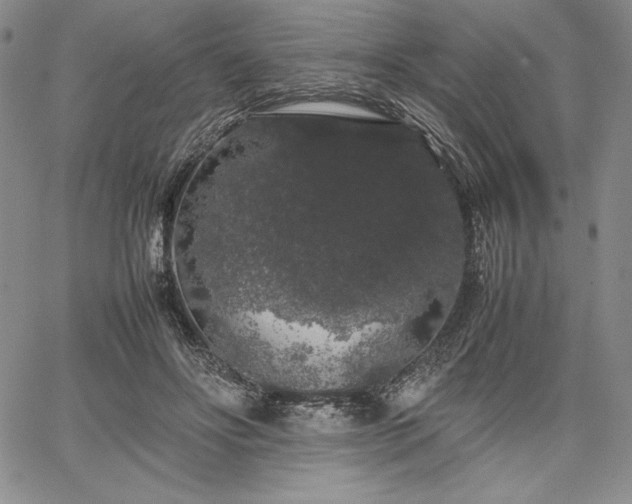 X0000067870502200604201221