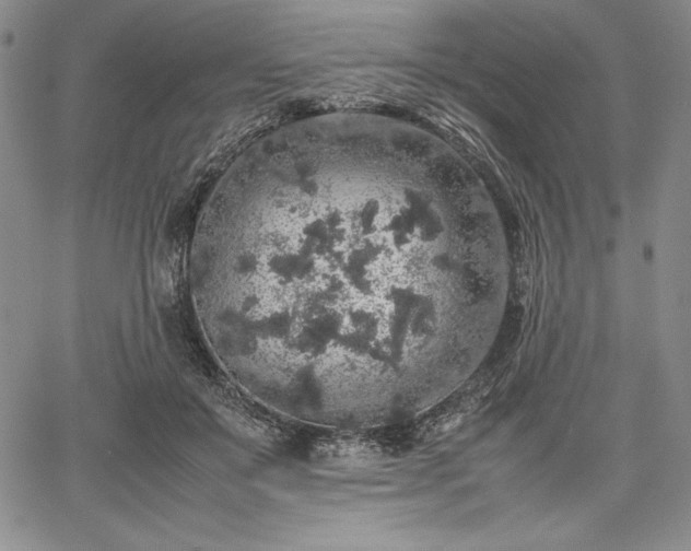 X0000067870503200604201221