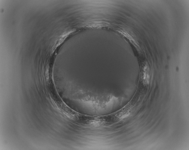 X0000067870504200604201221