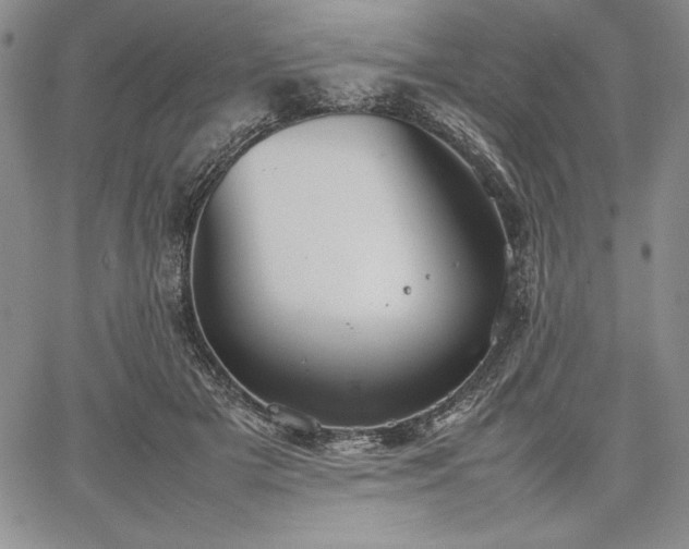 X0000067870505200604201221