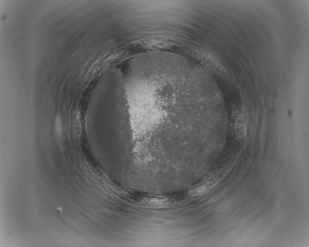 X0000067870506200604201221