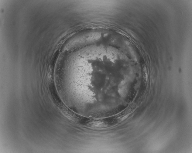 X0000067870507200604201221