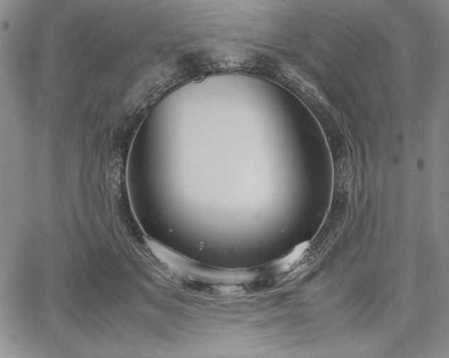 X0000067870509200604201221