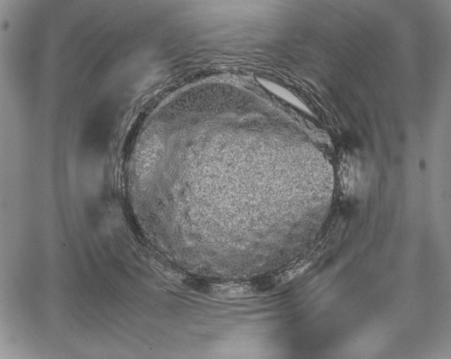 X0000067870511200604201221