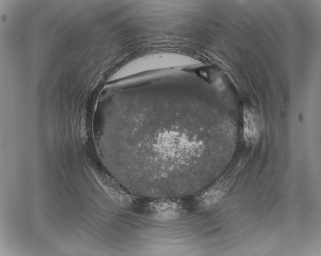 X0000067870512200604201221