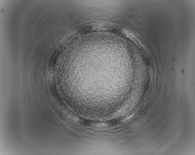 X0000067870513200604201221